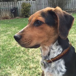 Meet your Posher, Ellen